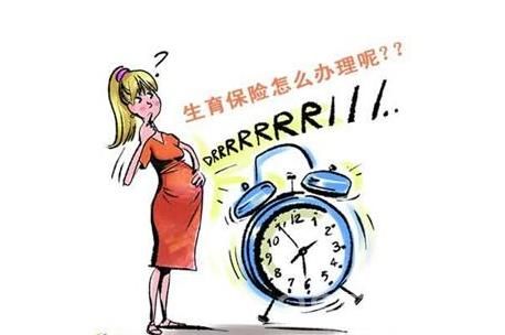 生育保險報銷比例是多少？ 第1張