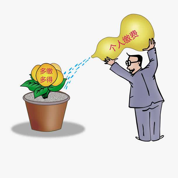養老保險個人怎么交？繳費檔次是什么？ 第1張